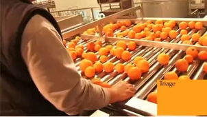 Process Industriel jus d'orange.mp4