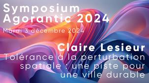 Symposium Agorantic 2024 #4/7 - Tolérance à la perturbation spatiale - Claire Lesieur