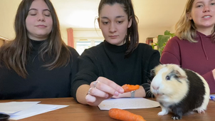 Vidéo anglais groupe 78