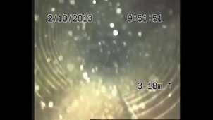 inspection video forage