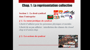 représentation collective