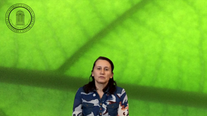 TP de chromatographie