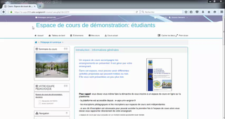 Qu'est ce qu'un espace de cours en ligne ?