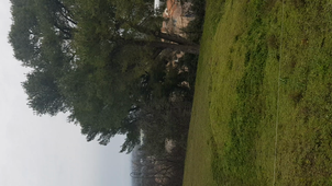 Se situer sur le terrain