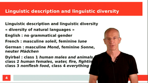 Linguistic description and linguistic diversity