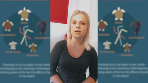 The cause of turtles against plastic straws- Group 15 (ROSIER Laurie and BIZ Pierrina)