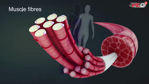 PONOMAREVA Anna - Présentation DU Entrepreneuriat