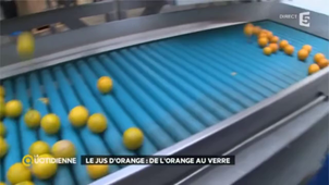 Jus d'orange frais Français.mp4
