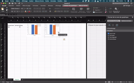 Tuto7 - Graphique individuel - Gagner du temps sur la mise en forme.mp4