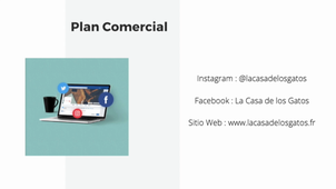 LDAT Espagnol projet 