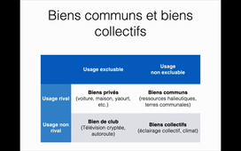 Economie de l'environnement 1 (Introduction à l'économie)